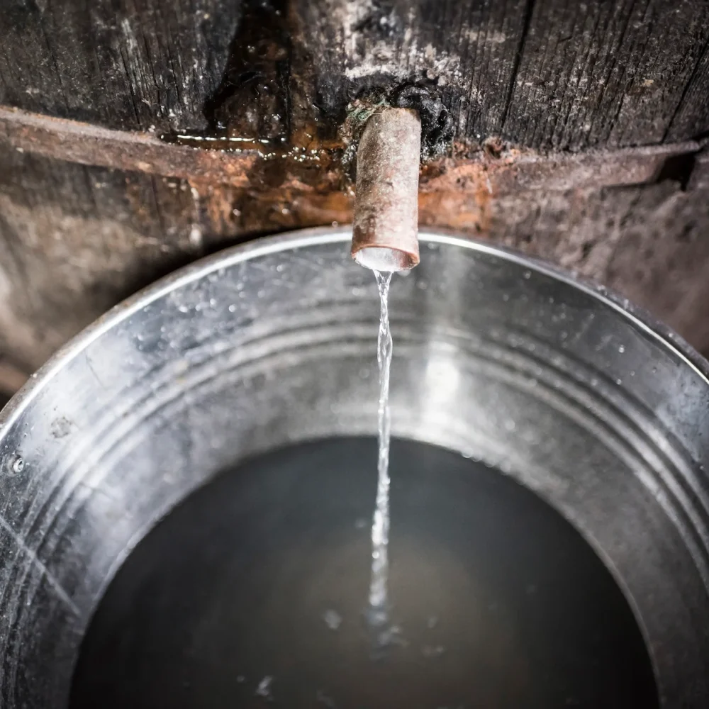 distillery-for-making-palinka-a-traditional-roman-2024-09-18-00-48-04-utc